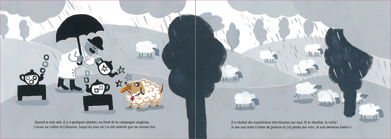 Le grand championnat de mensonges © Magali Bardos Gwendoline Raisson Pastel L'école des loisirs animaux de la ferme humour illustration gouache concours moutons brebis