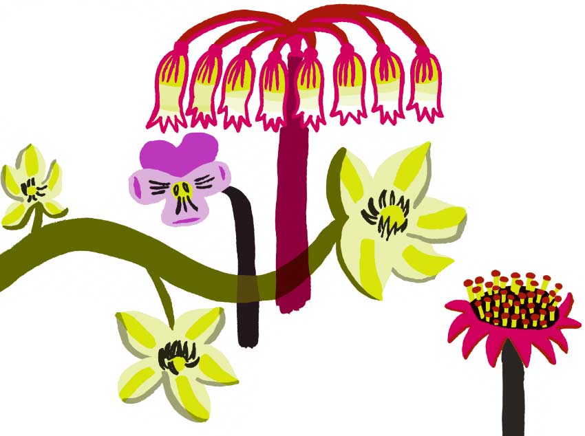 Mirette Affiches pour bébé sur le thème des fleurs développement de la vision de bébé à partir de 3 mois fleurs
