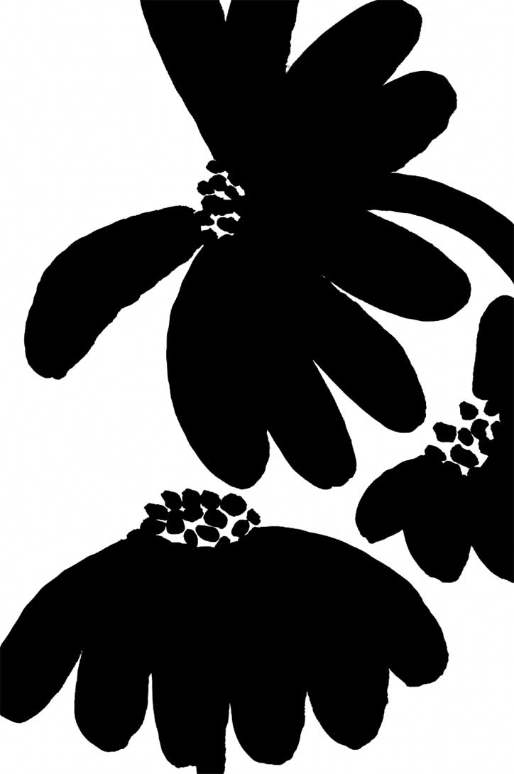 Mirette Affiches pour bébé sur le thème des fleurs développement de la vision de bébé à partir de 3 mois noir fleurs contraste noir et blanc