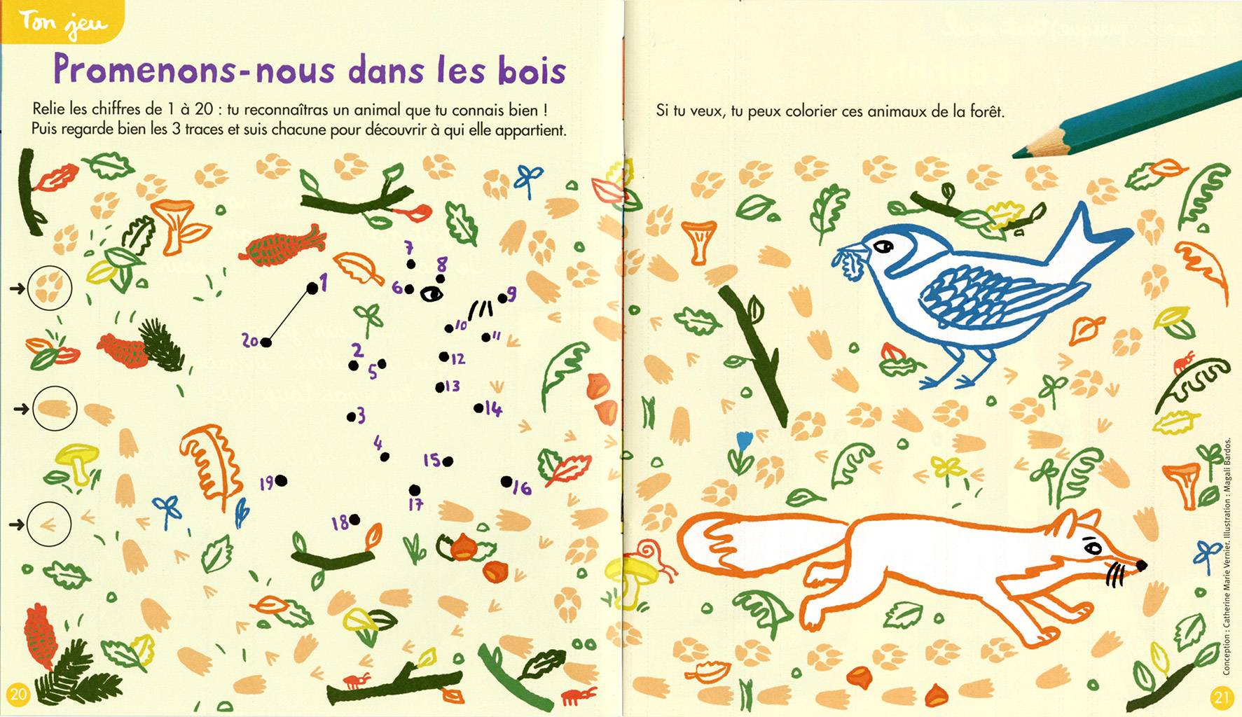 Pomme d'api jeux traces d'animaux Magali Bardos renard oiseau automne champignon illustration pour enfants bayard presse