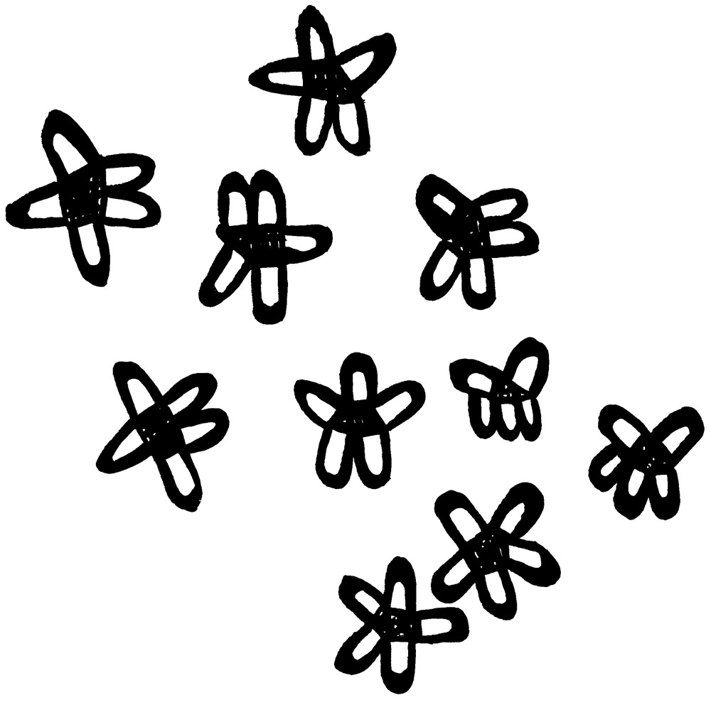 site-motif-06-web Magali Bardos dessin pinceau gouache noire fleurs