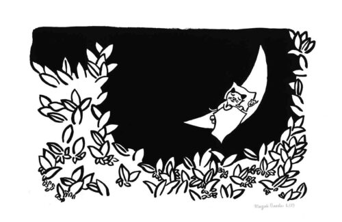Le reve de Griffachat Magali Bardos Pastel L'école des loisirs album jeunesse sérigraphie noir et blanc chat rêve nuit lune feuillage vent yeux chateau
